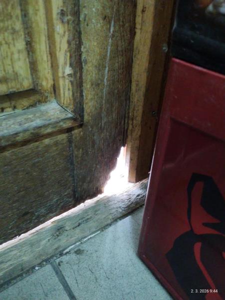 Ilustrační fotografie č. 13