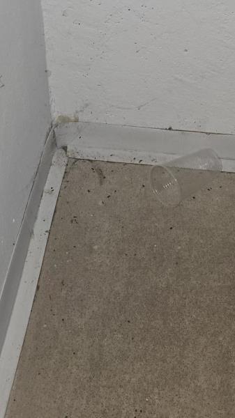 Illustrative photo no. 5