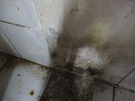 Ilustrační fotografie č. 9