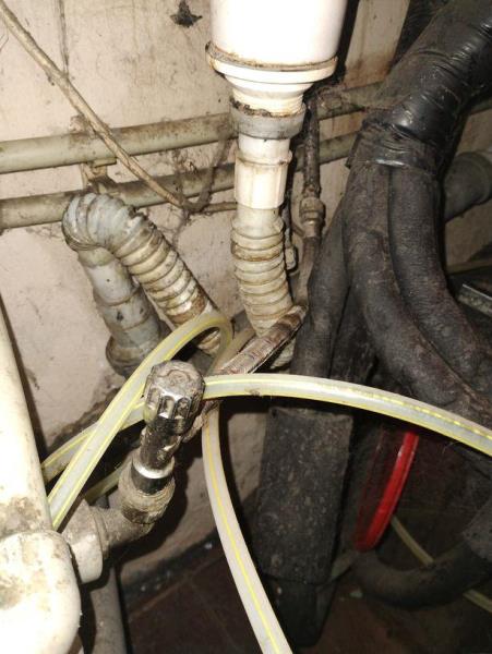 Ilustrační fotografie č. 8