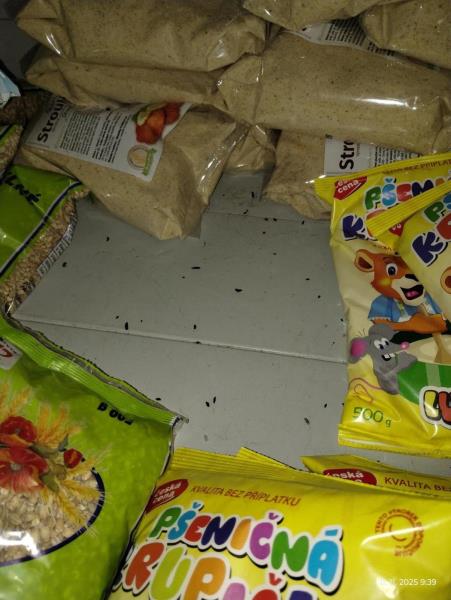 Ilustrační fotografie č. 12