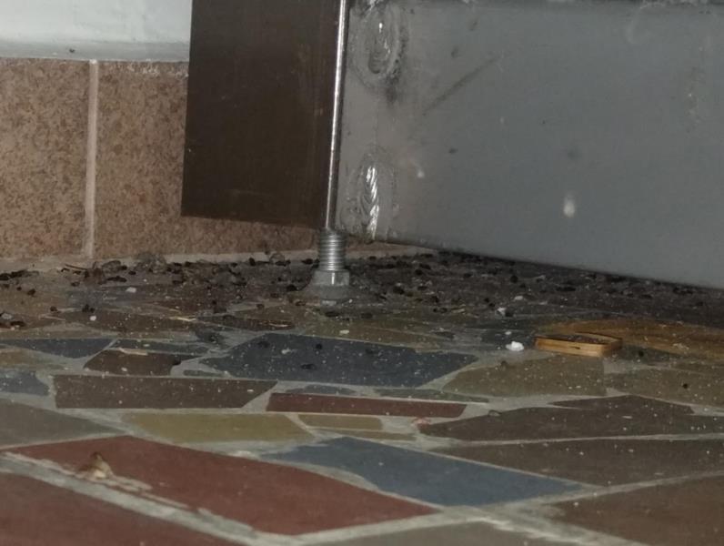 Ilustrační fotografie č. 8