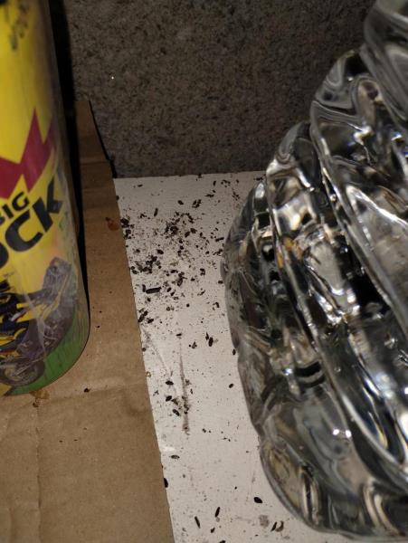 Ilustrační fotografie č. 3