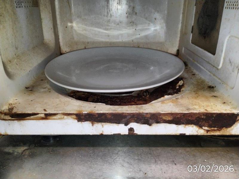 Ilustrační fotografie č. 5