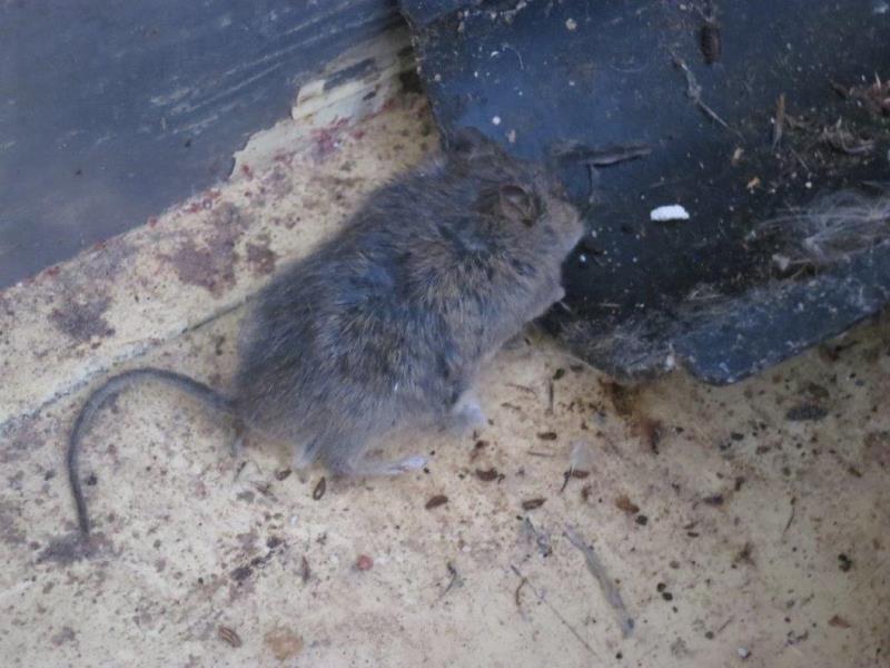 Ilustrační fotografie č. 7