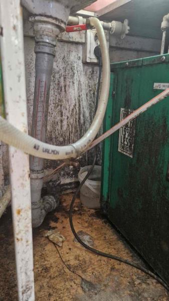 Ilustrační fotografie č. 8