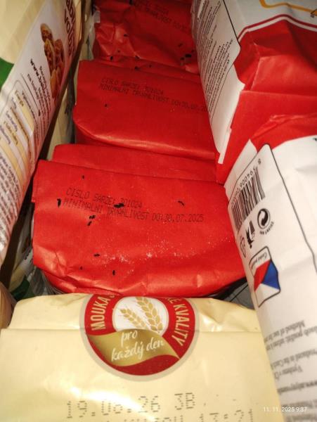 Ilustrační fotografie č. 4