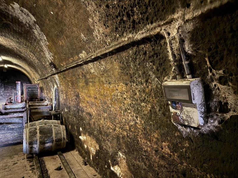 Ilustrační fotografie č. 24