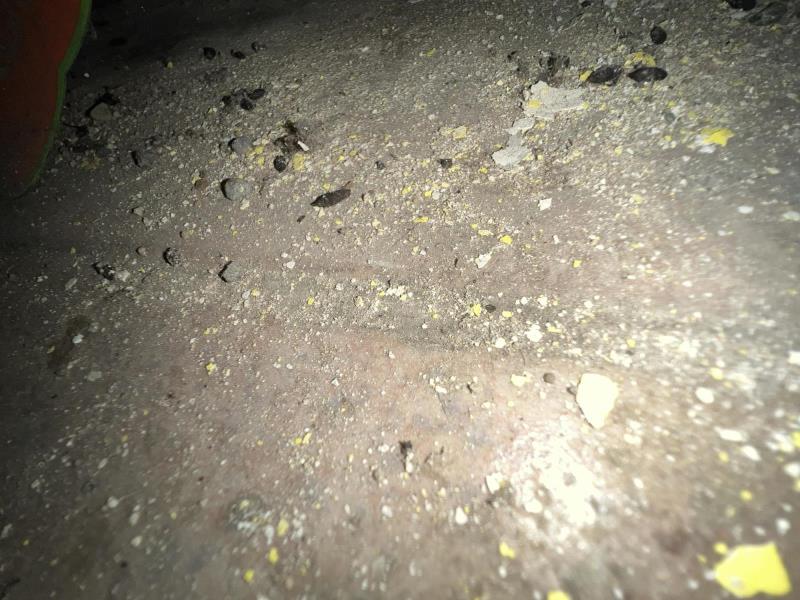 Ilustrační fotografie č. 6