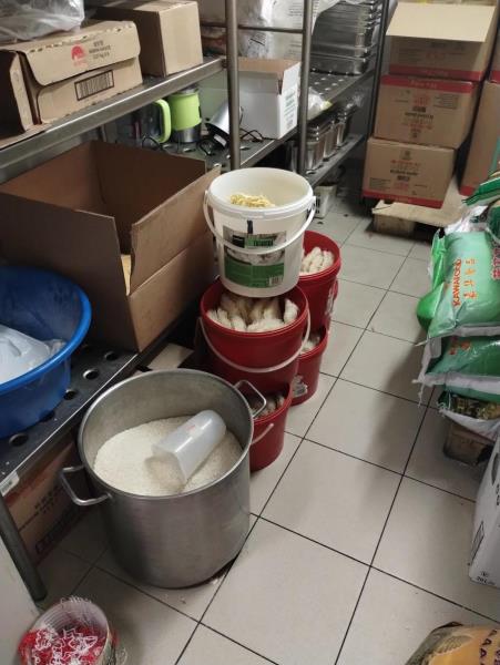 Ilustrační fotografie č. 8