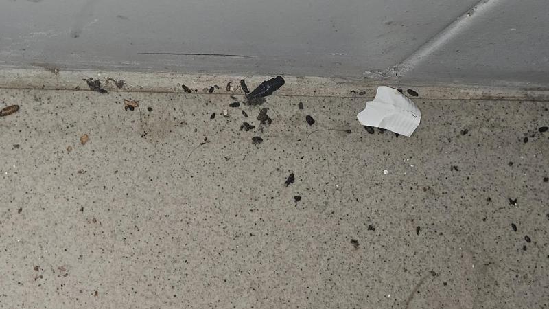 Illustrative photo no. 6