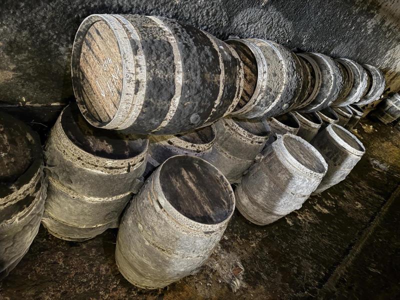 Ilustrační fotografie č. 4