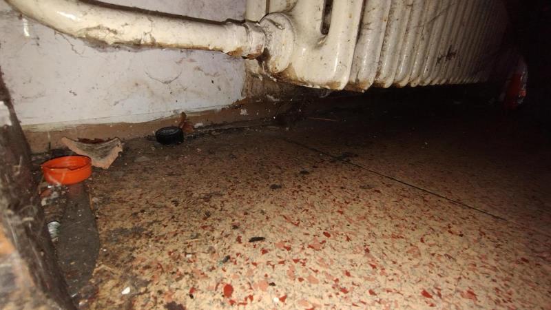 Ilustrační fotografie č. 14