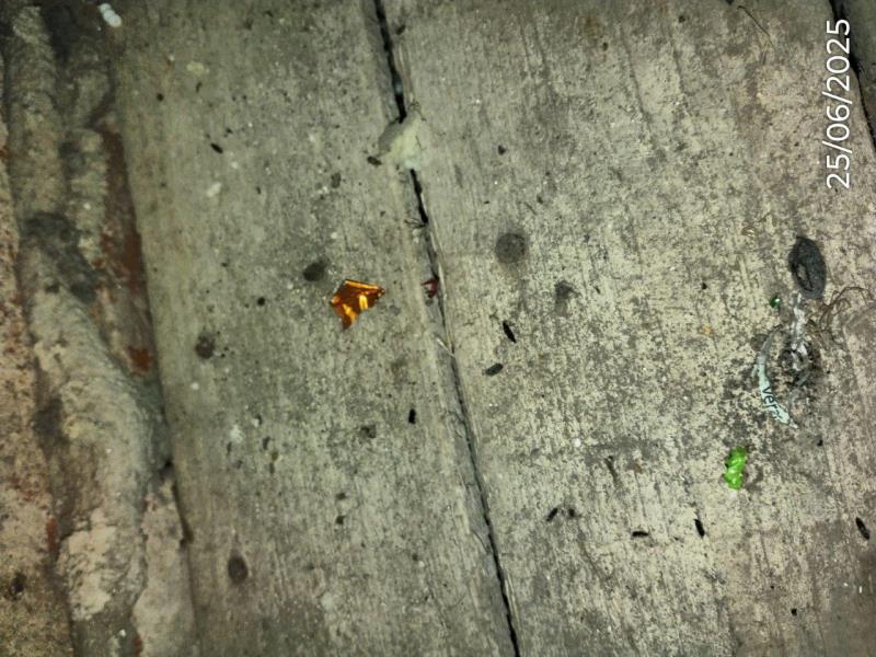 Ilustrační fotografie č. 17