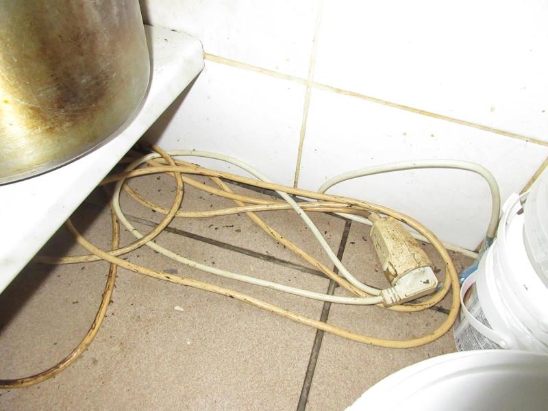 Illustrative photo no. 5