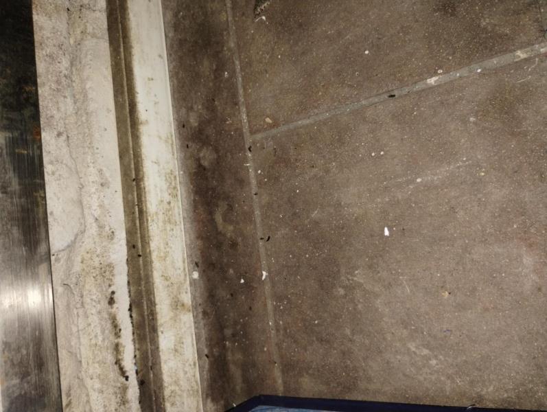 Ilustrační fotografie č. 6