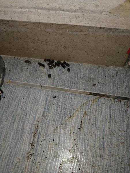 Ilustrační fotografie č. 7