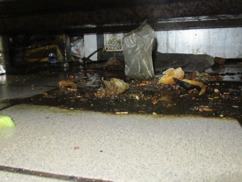 Ilustrační fotografie č. 5