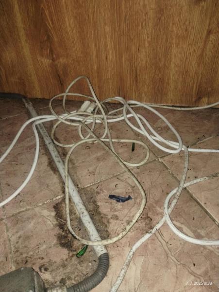 Ilustrační fotografie č. 20