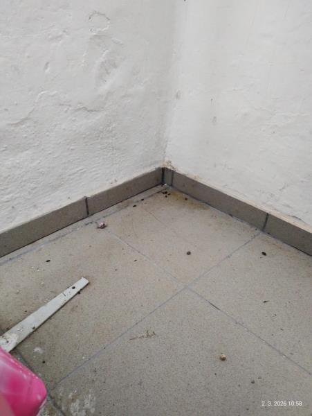 Ilustrační fotografie č. 10