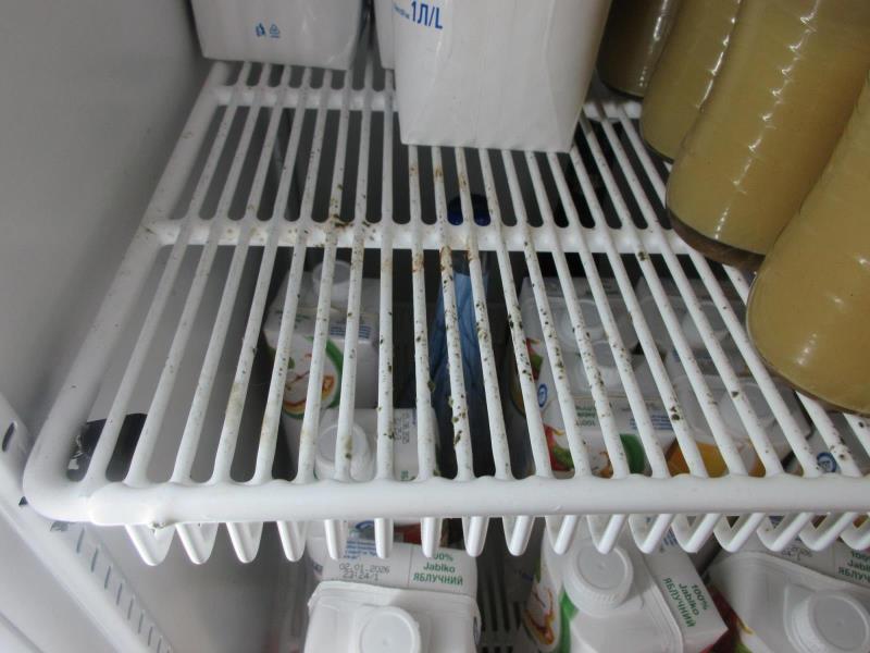 Illustrative photo no. 3