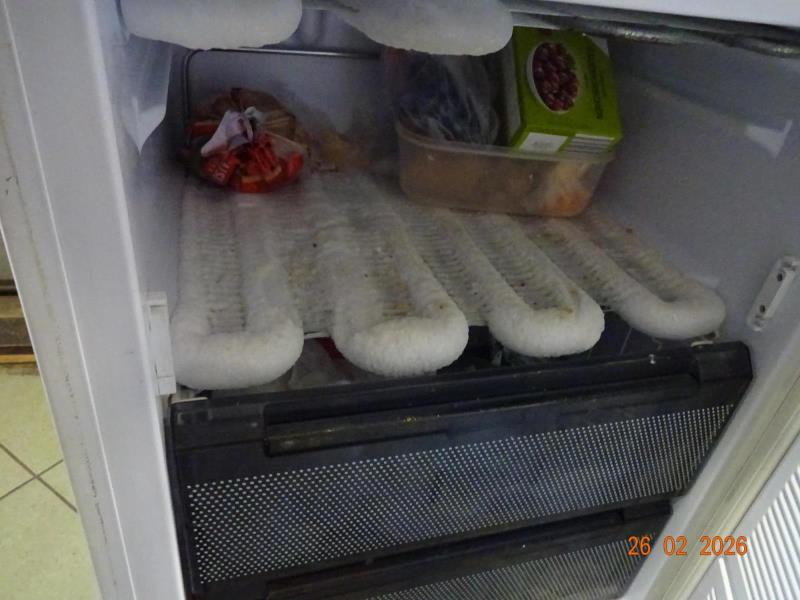 Ilustrační fotografie č. 7