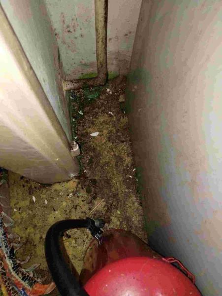 Ilustrační fotografie č. 2