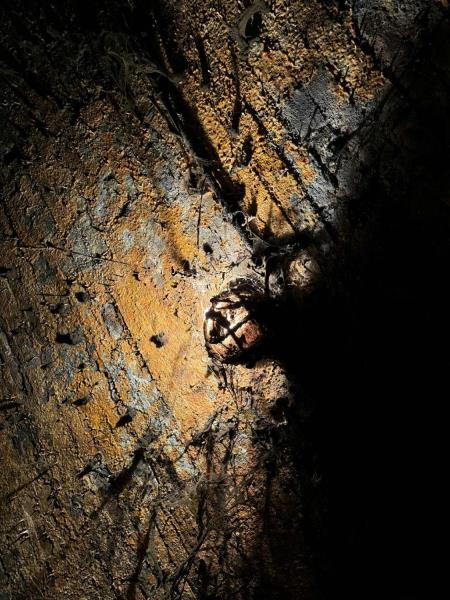 Ilustrační fotografie č. 20