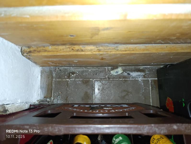 Ilustrační fotografie č. 14