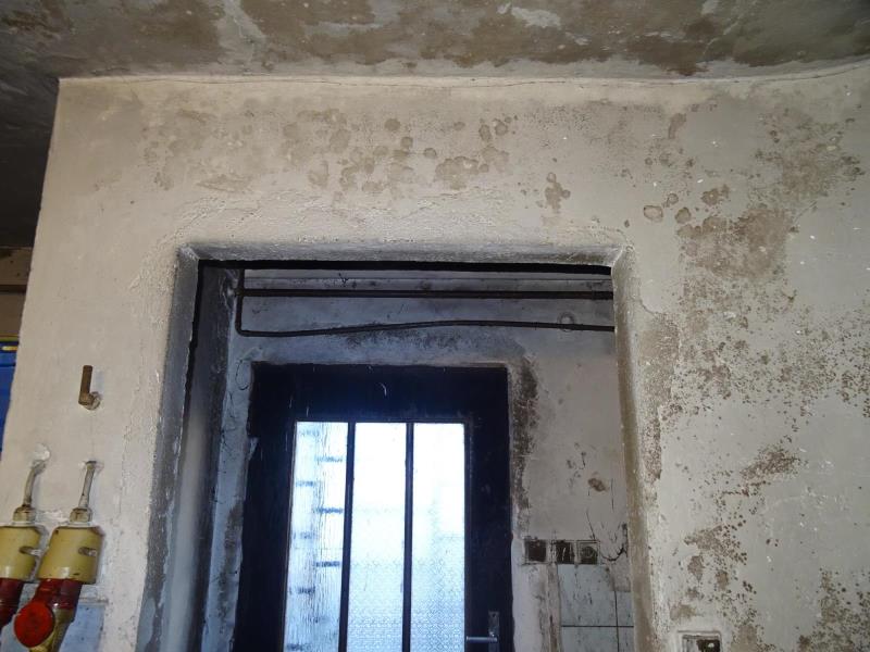 Illustrative photo no. 14