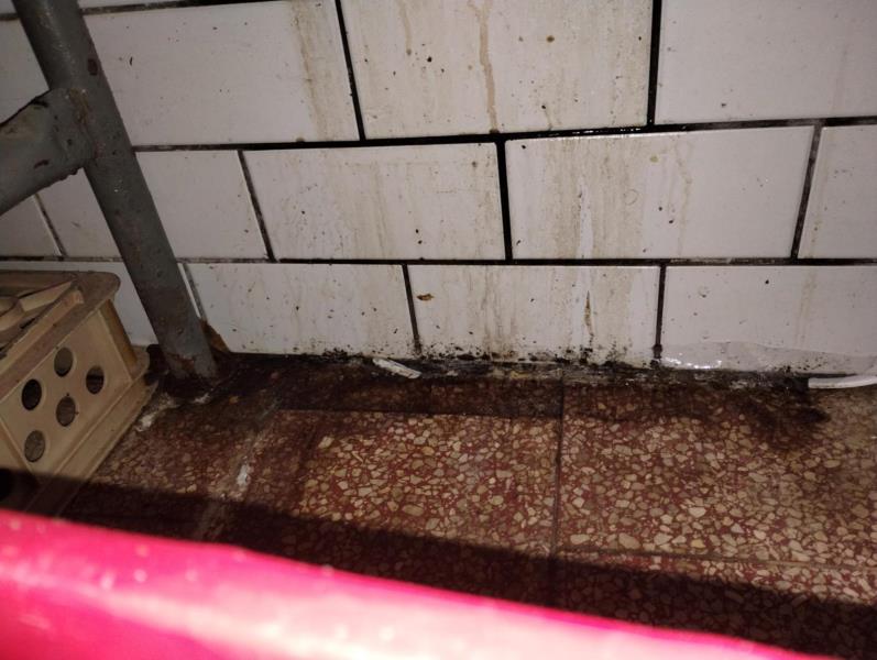 Ilustrační fotografie č. 12