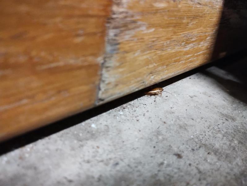 Ilustrační fotografie č. 12