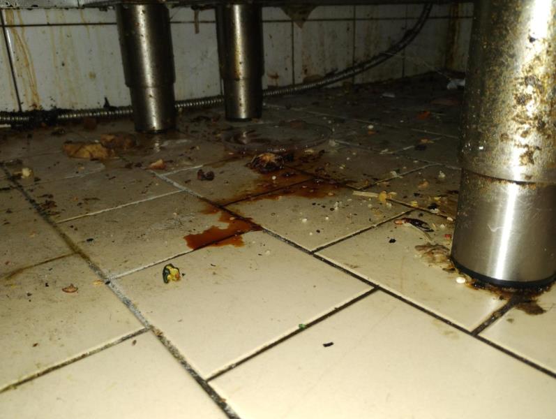 Ilustrační fotografie č. 7