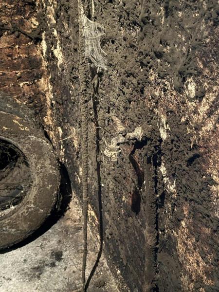 Ilustrační fotografie č. 14