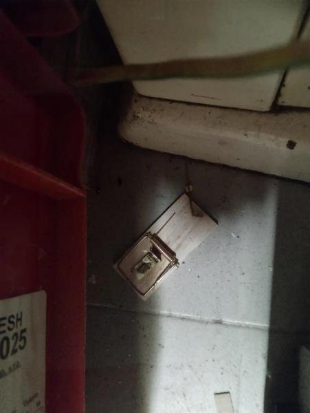 Ilustrační fotografie č. 22