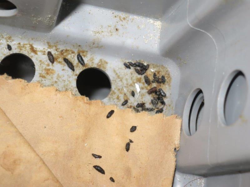 Ilustrační fotografie č. 6