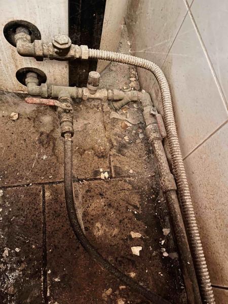 Ilustrační fotografie č. 2