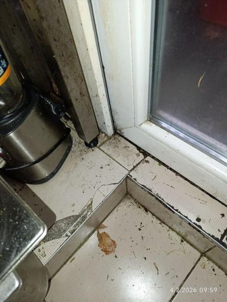 Ilustrační fotografie č. 6