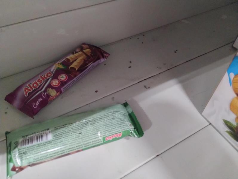 Ilustrační fotografie č. 12