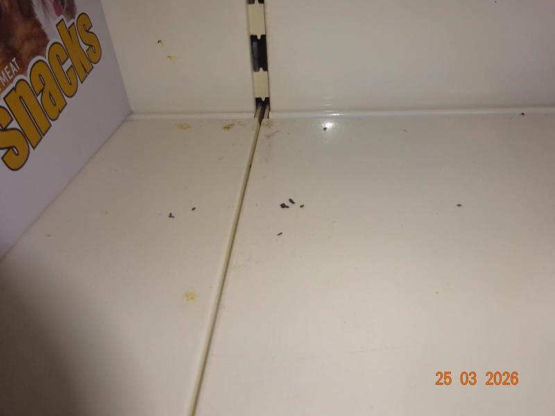 Ilustrační fotografie č. 14