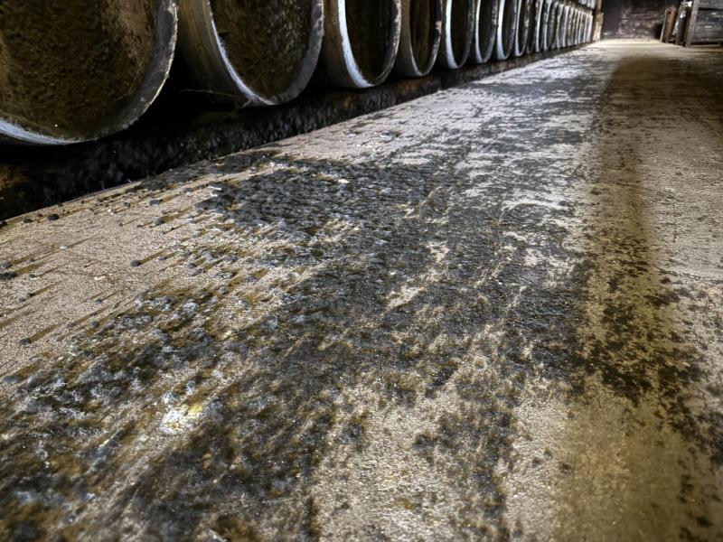 Ilustrační fotografie č. 19