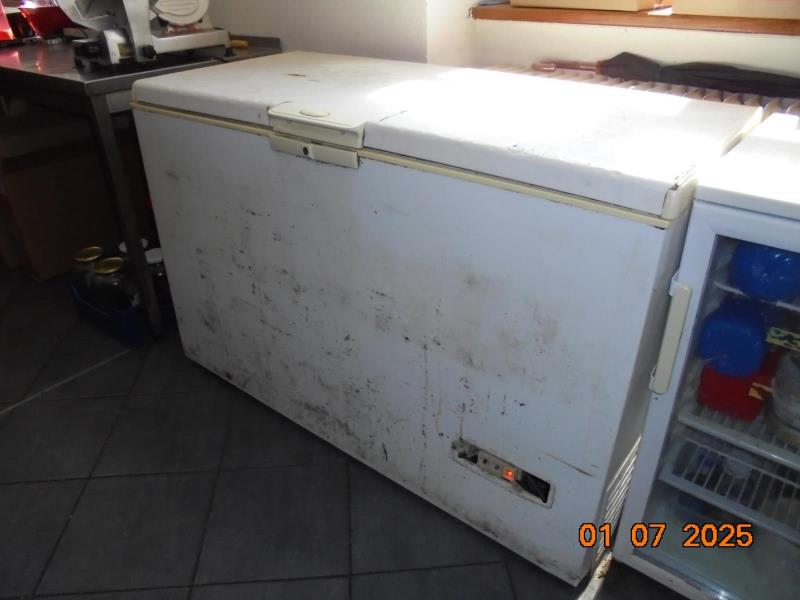 Illustrative photo no. 11