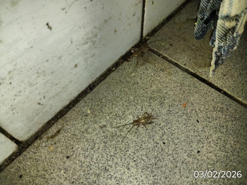 Ilustrační fotografie č. 2