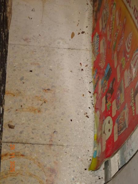 Ilustrační fotografie č. 5