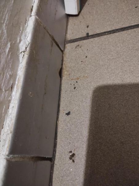 Ilustrační fotografie č. 19