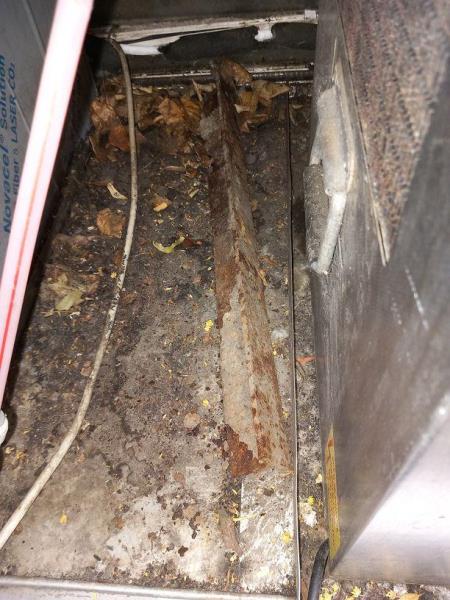 Ilustrační fotografie č. 11