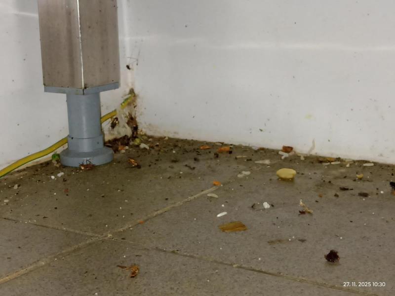 Ilustrační fotografie č. 11