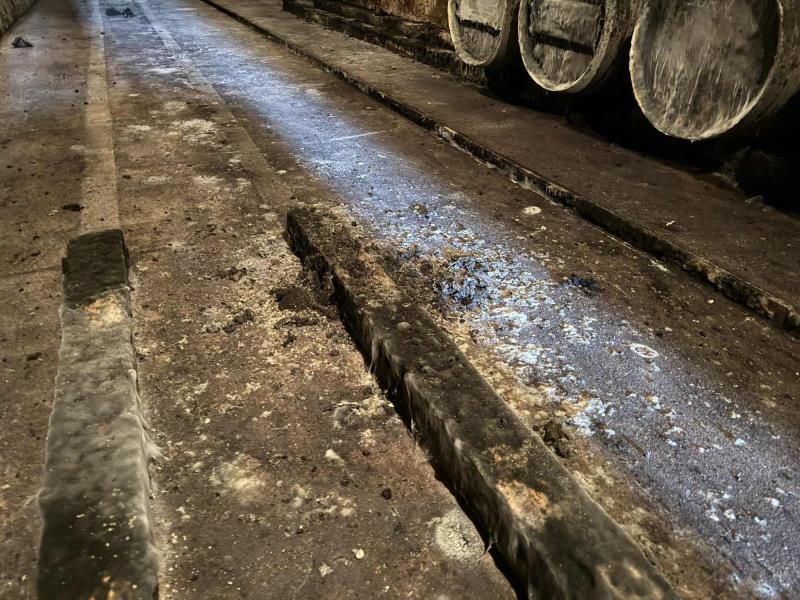 Ilustrační fotografie č. 17