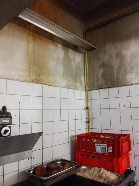 Ilustrační fotografie č. 14