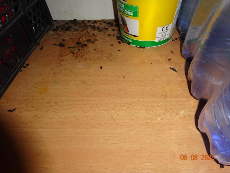 Ilustrační fotografie č. 21